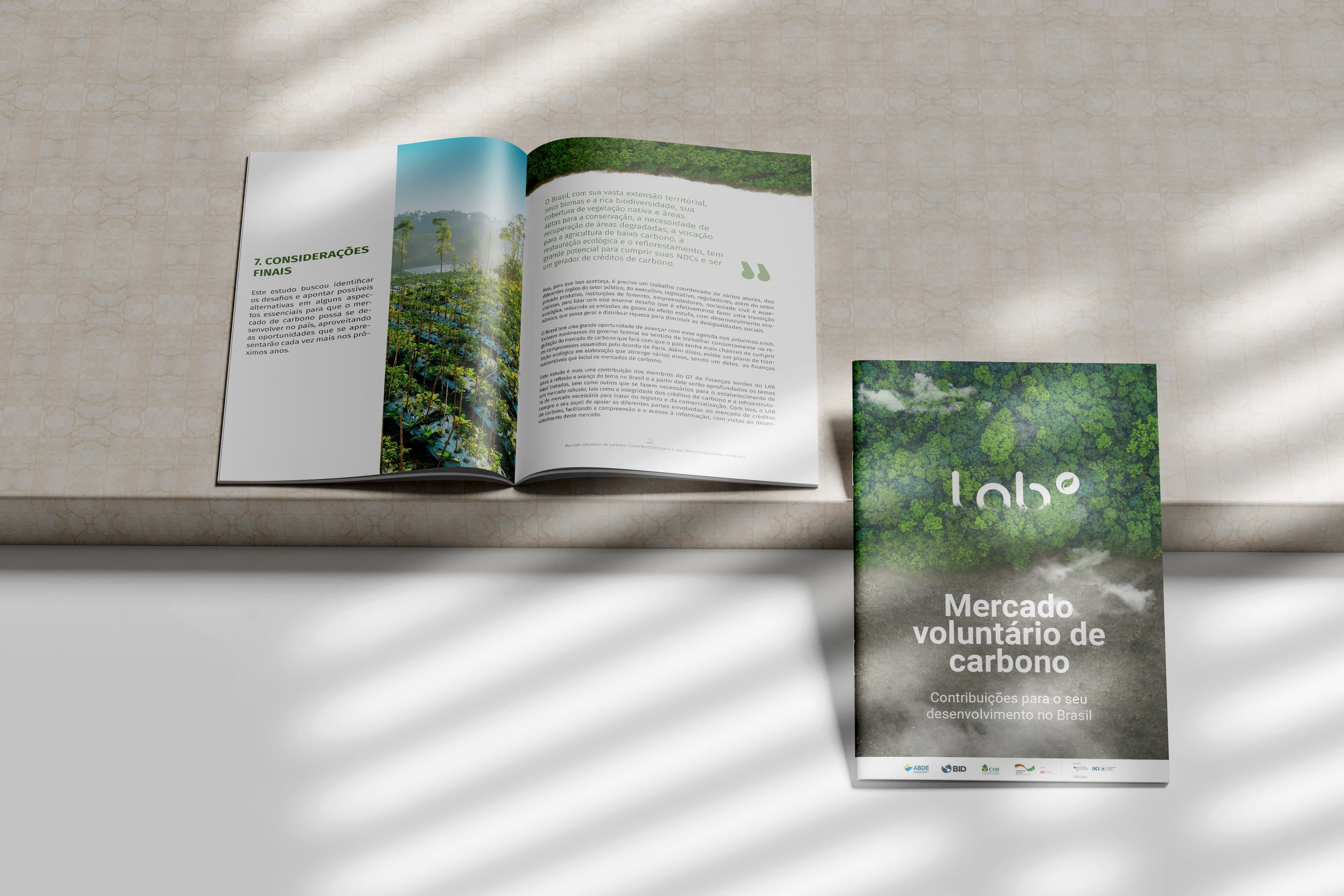 MERCADO VOLUNTÁRIO DE CARBONO - LAB